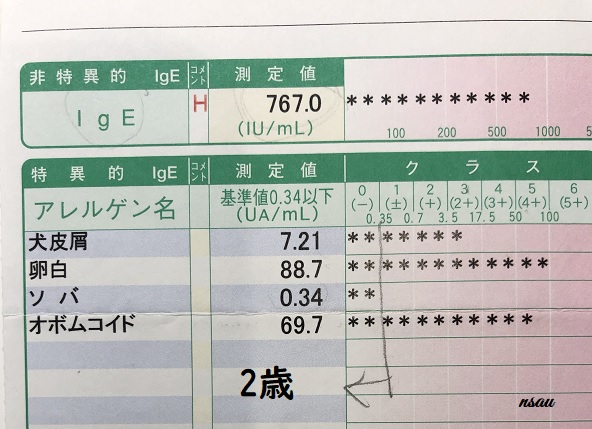 血液検査2歳