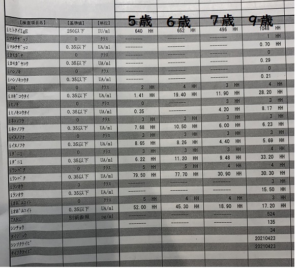 食物アレルギー血液検査結果