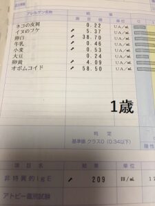 なす太1歳の食物アレルギー血液検査結果