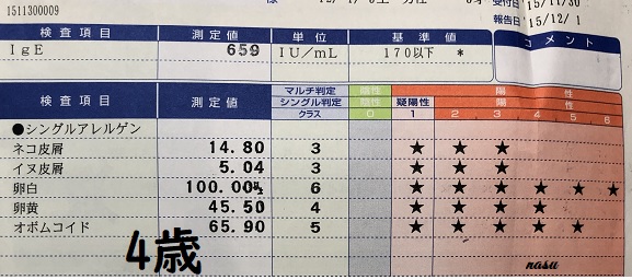 血液検査4歳